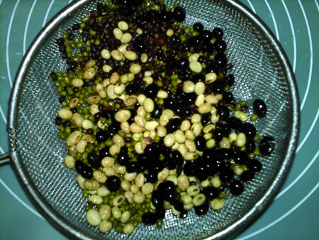 四色豆浆步骤2