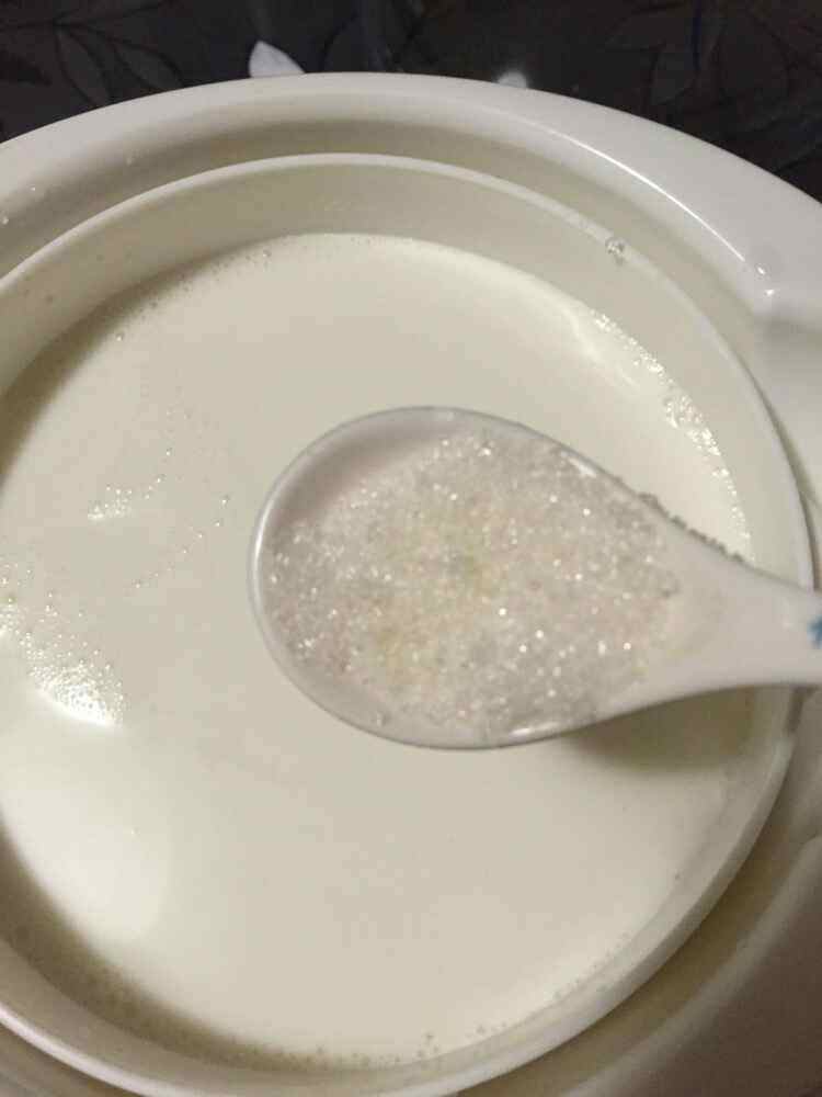 酸奶盆栽步骤3
