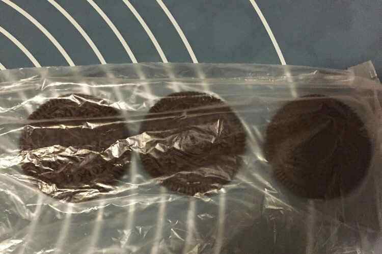 酸奶盆栽步骤6