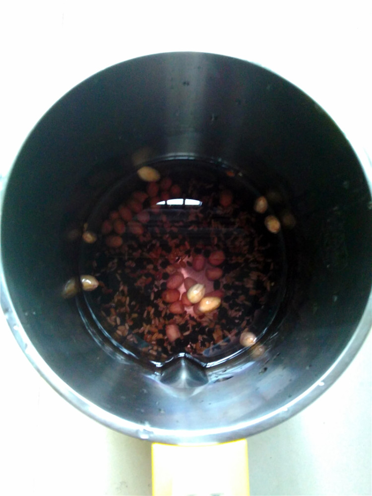 自制养生黑豆浆步骤4