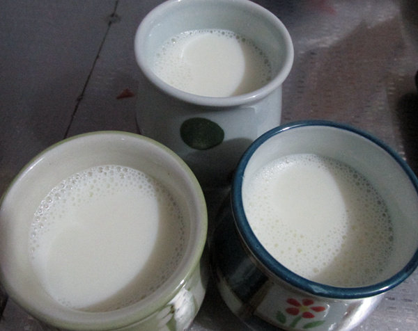瓷罐酸奶&盆栽步骤5