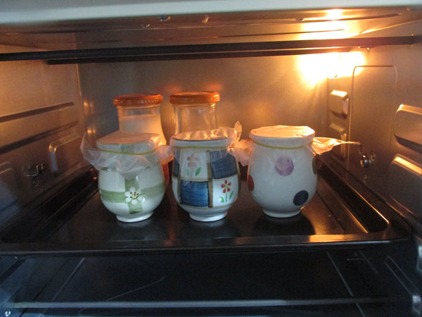 瓷罐酸奶&盆栽步骤7