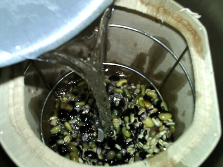 黑米燕麦黑黄豆浆步骤6