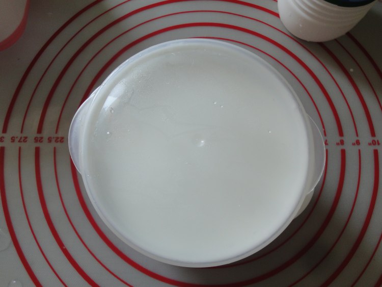 无糖酸奶步骤6