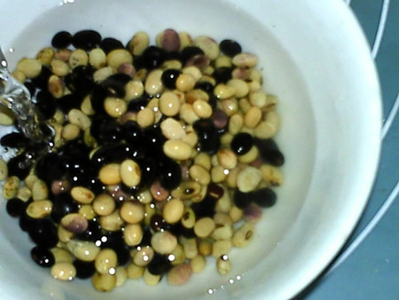 山药黑黄豆浆步骤3