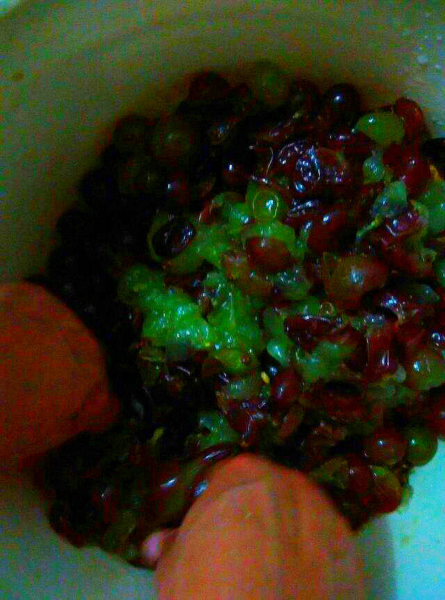 自制葡萄酒步骤8