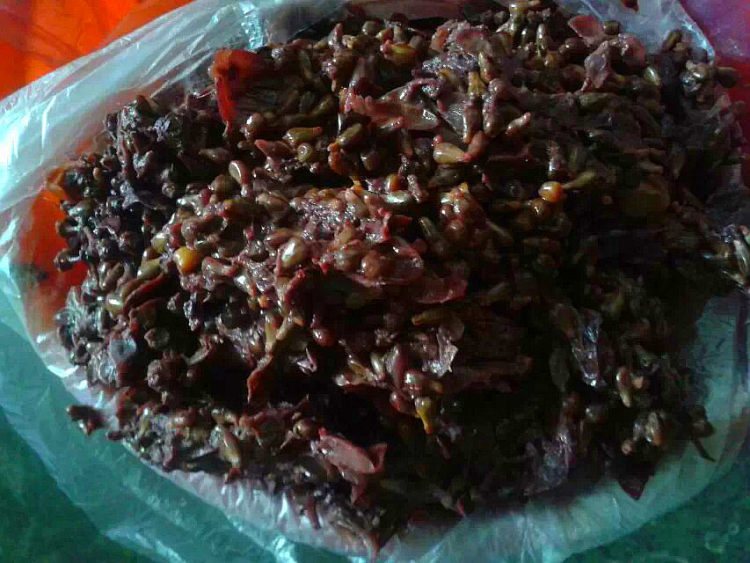 自制葡萄酒步骤12