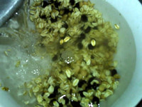 燕麦黑黄豆浆步骤3
