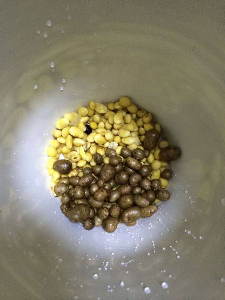 黄豆山药豆豆浆步骤4