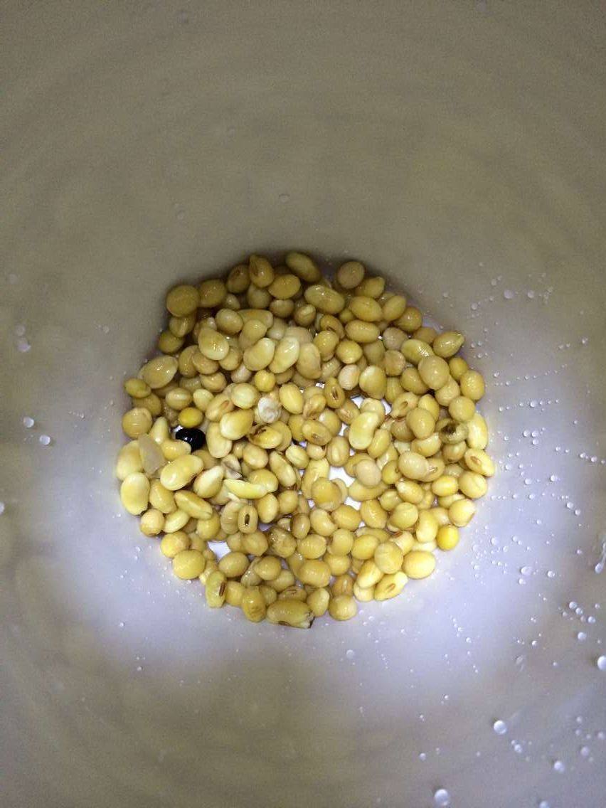 黄豆山药豆豆浆步骤3