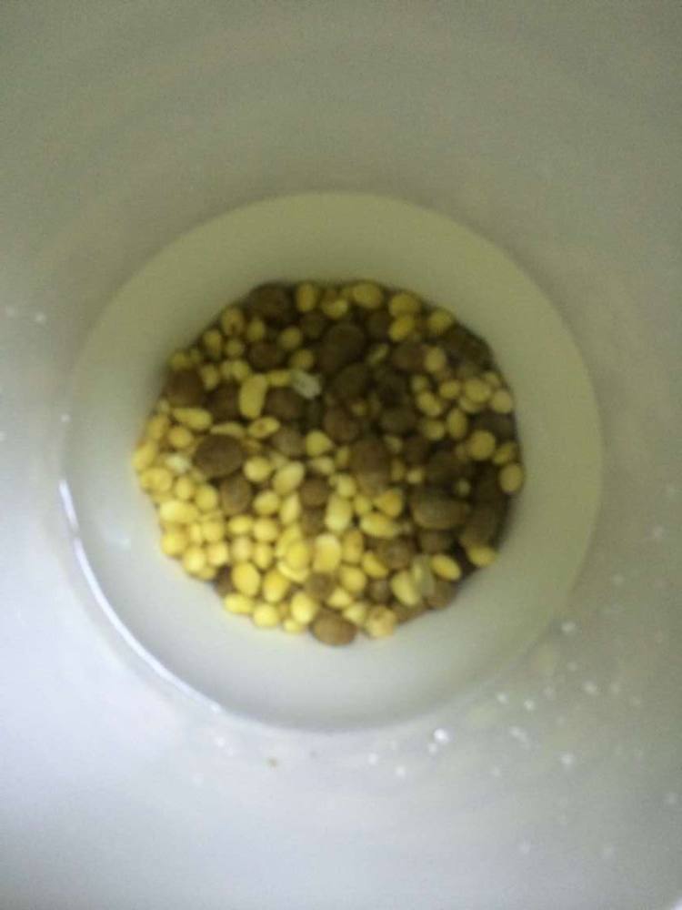 黄豆山药豆豆浆步骤5
