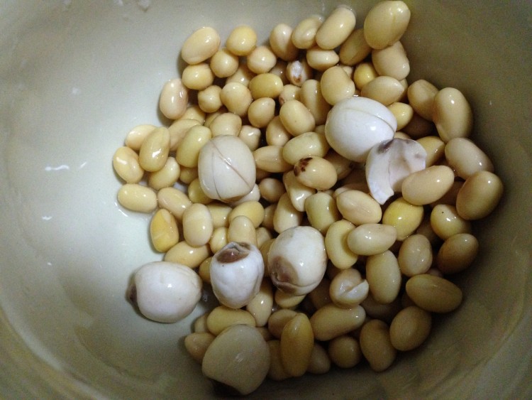 红枣莲子莜麦豆浆步骤3