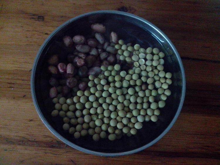 花生黄豆浆步骤2
