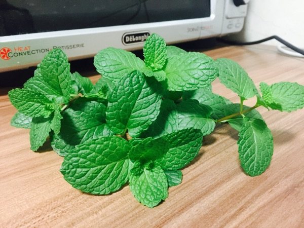 薄荷香草奶步骤1