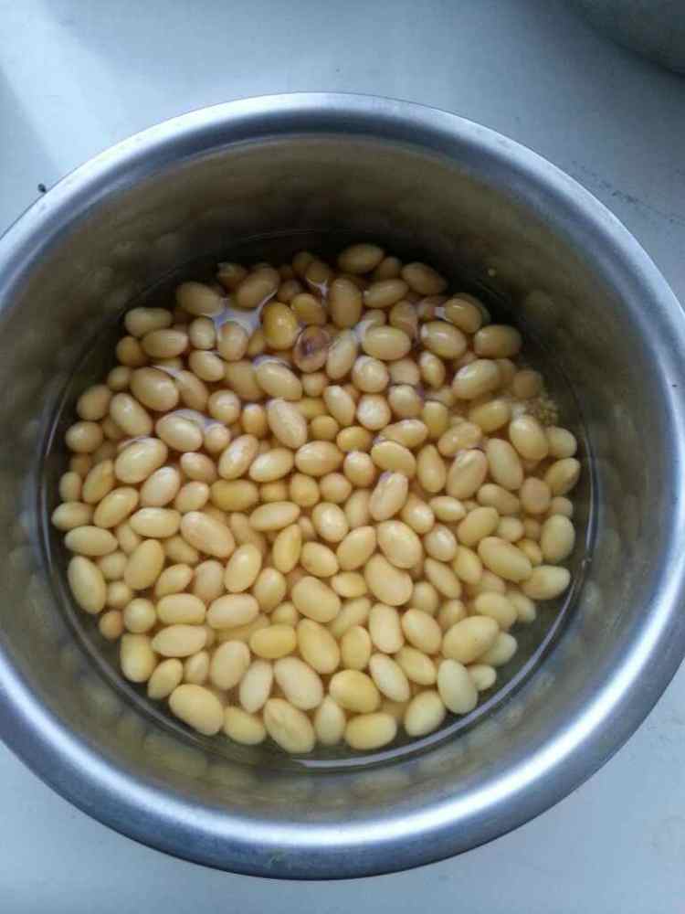枸杞小米豆浆步骤5