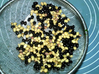 炒花生黑黄豆浆步骤2