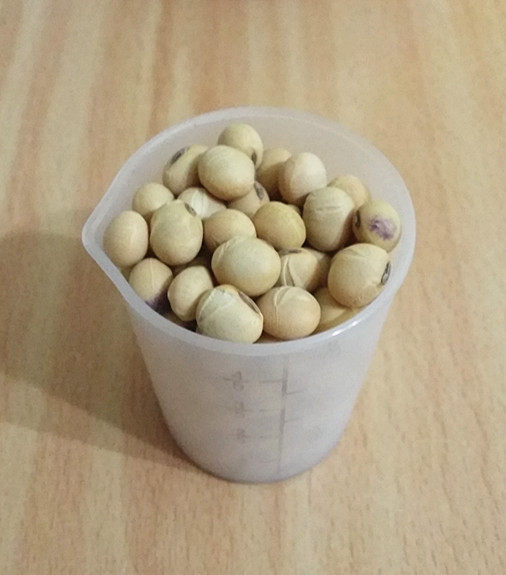 纯香豆浆步骤1