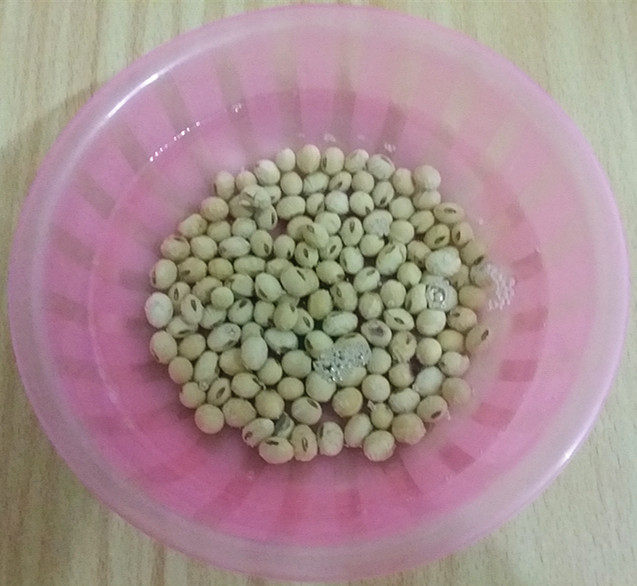 纯香豆浆步骤2