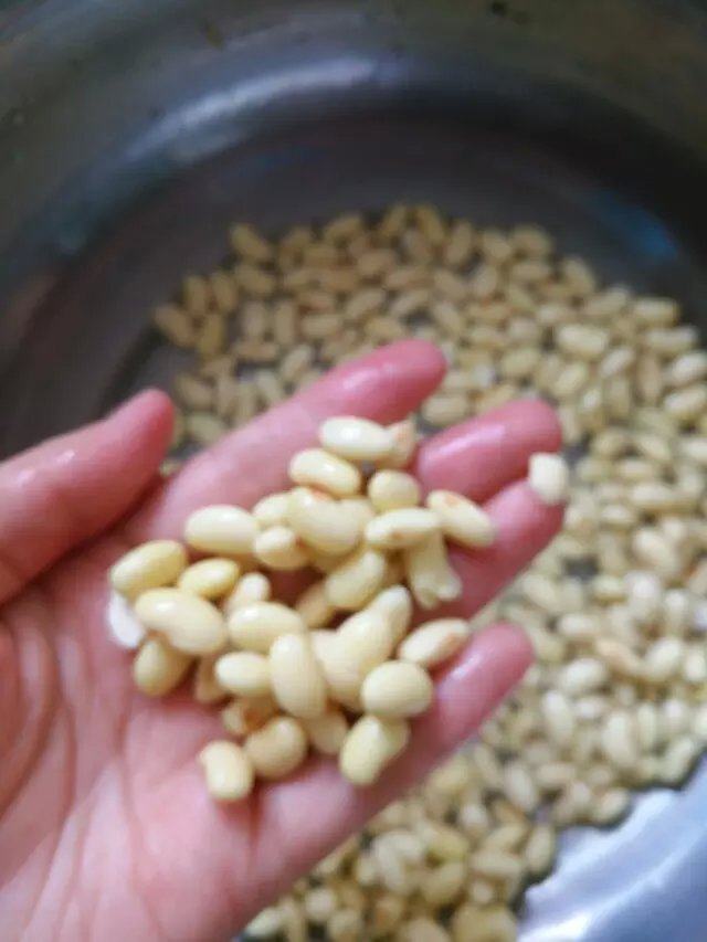 核桃燕麦豆浆步骤3