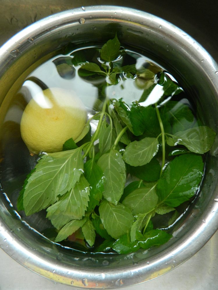 薄荷柠檬茶步骤2