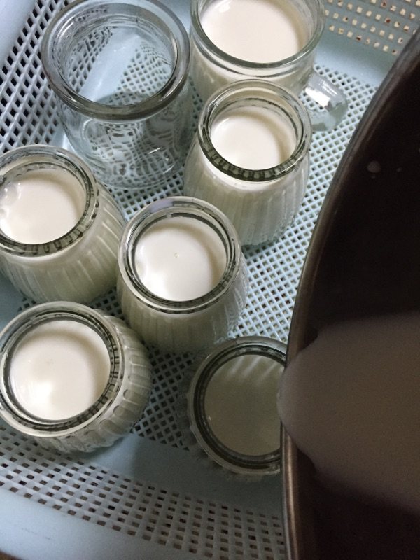 蓝莓酸奶步骤6