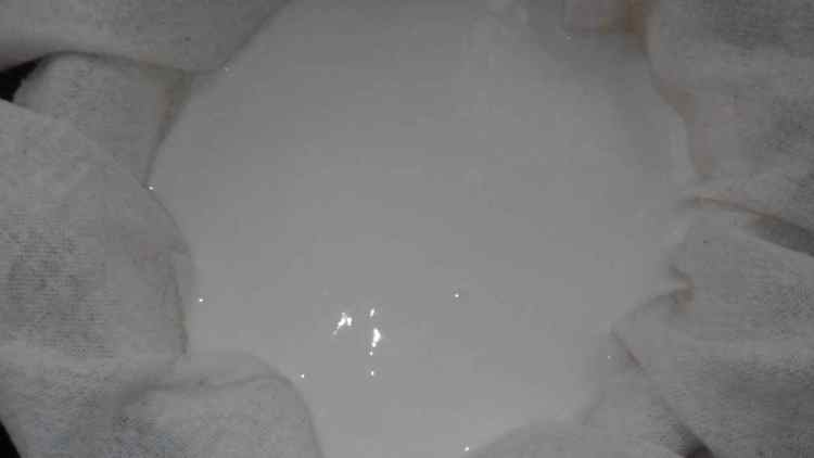 【手工美食】自制奶酪步骤5