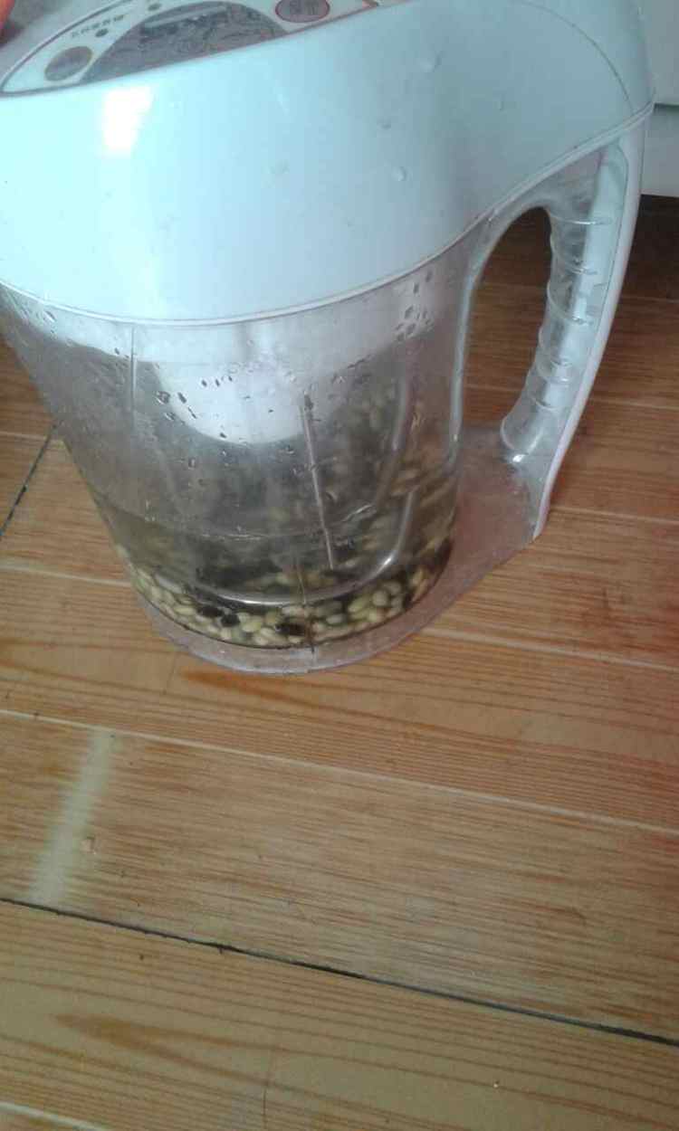 黑黄豆浆步骤2