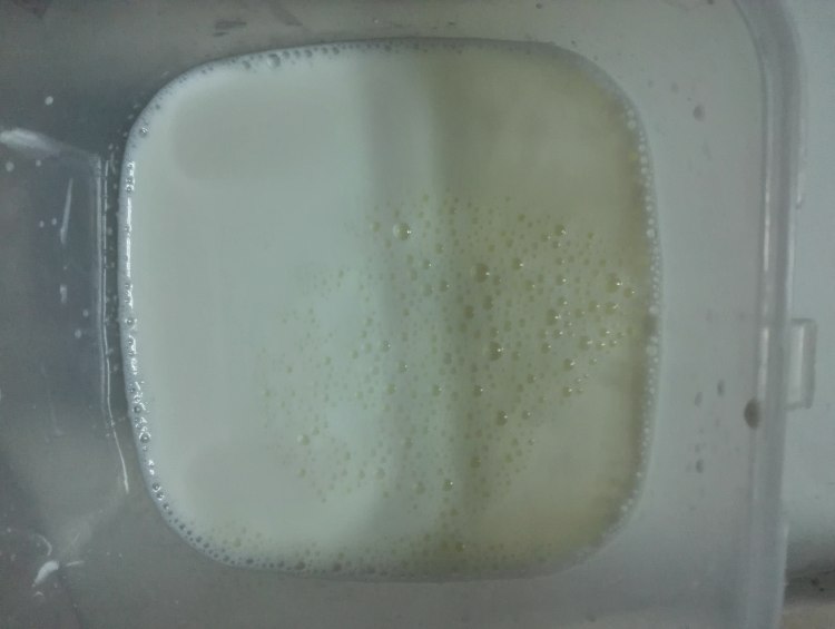 自制健康酸奶步骤4