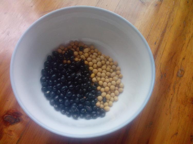 黄黑豆浆步骤1