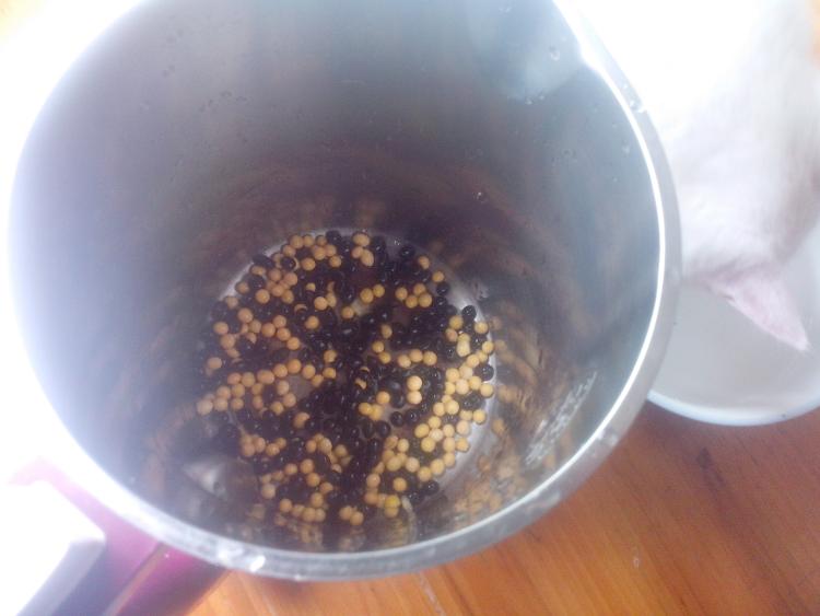 黄黑豆浆步骤3