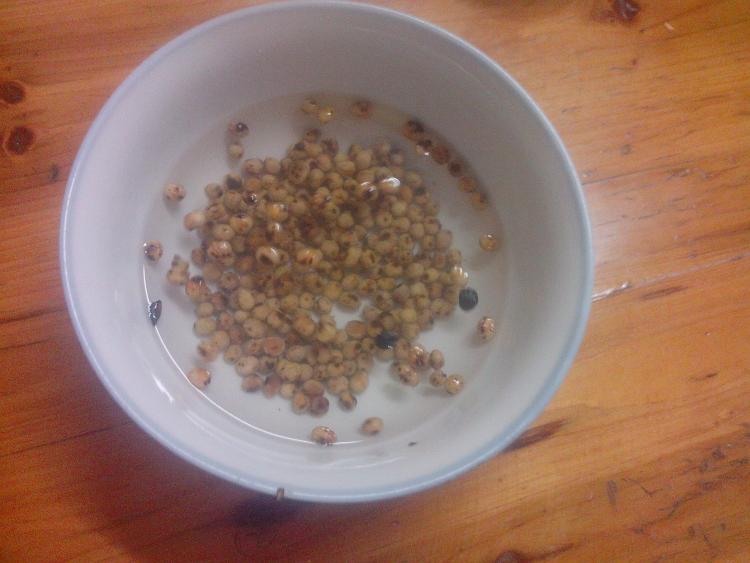 熟黄豆浆步骤2