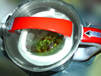 青红豆浆步骤8