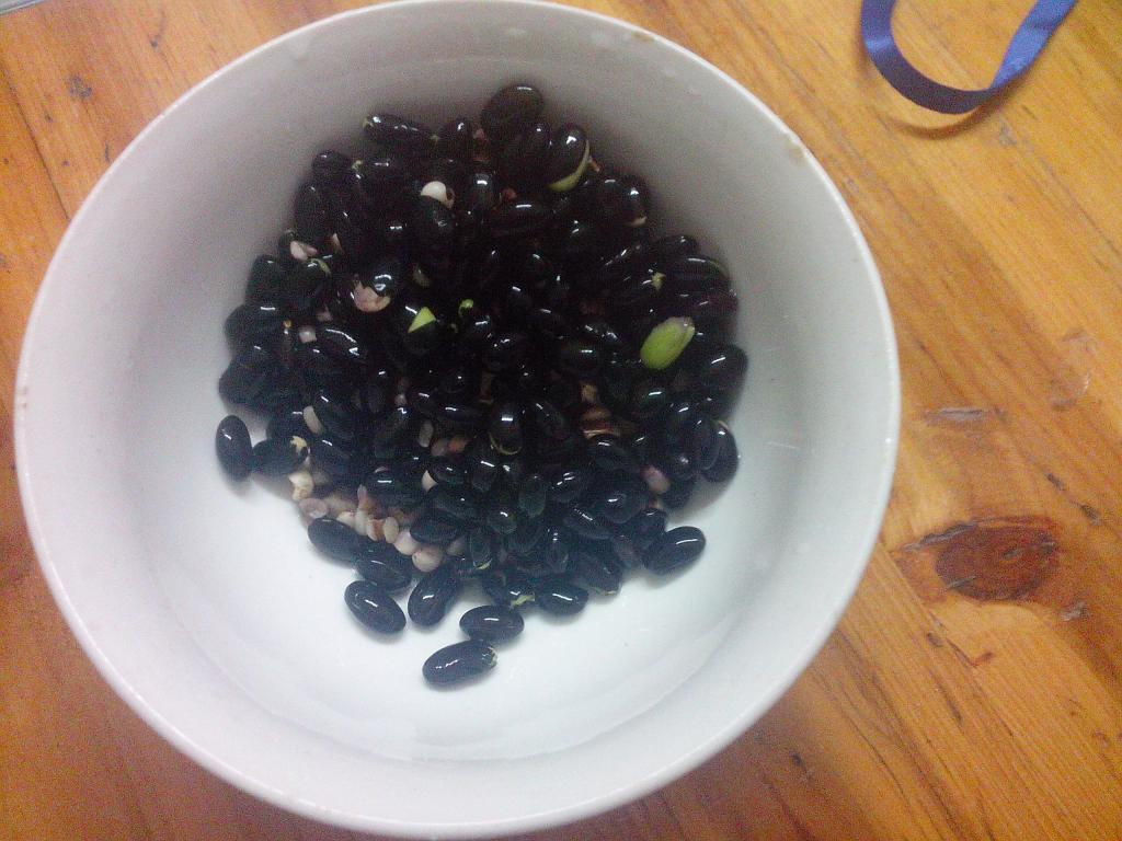 薏米黑豆浆步骤3