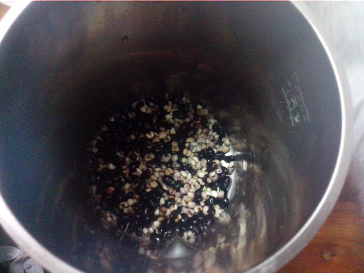 薏米黑豆浆步骤4