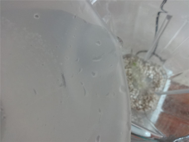 芦荟薏米汁步骤5
