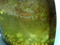 三绿豆浆步骤9