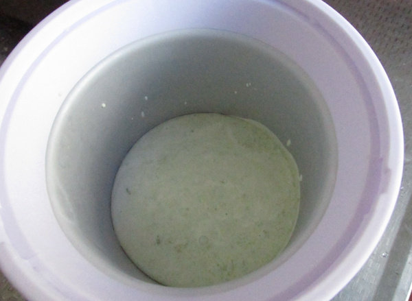牛油果冰激凌步骤6
