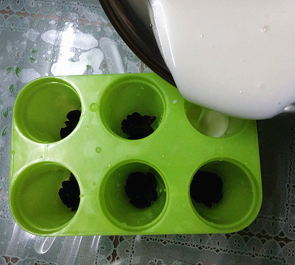 蔓越莓酸奶雪糕步骤5