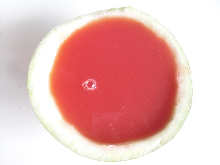 西瓜果冻步骤11
