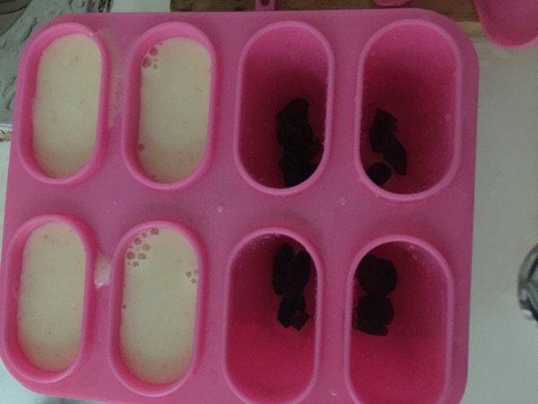 水果酸奶冰步骤12