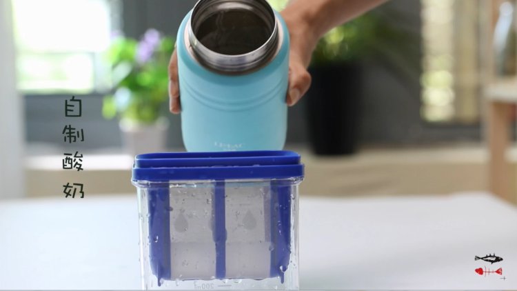 水果酸奶杯步骤1