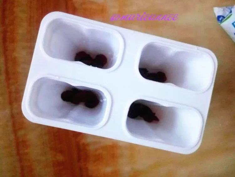 蔓越莓雪糕步骤2
