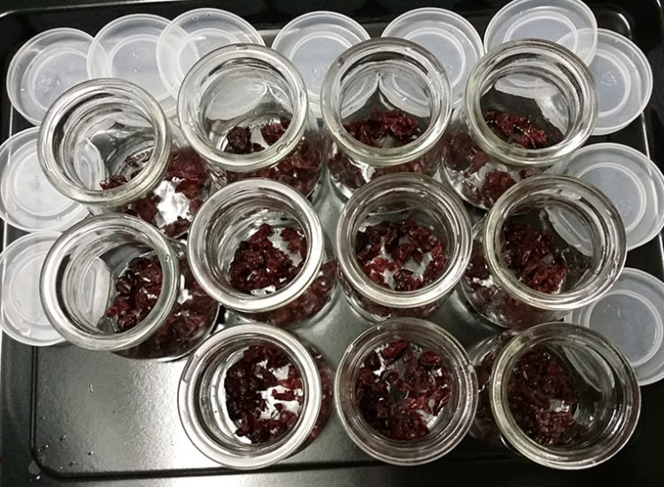 巧克力蔓越莓酸奶步骤4