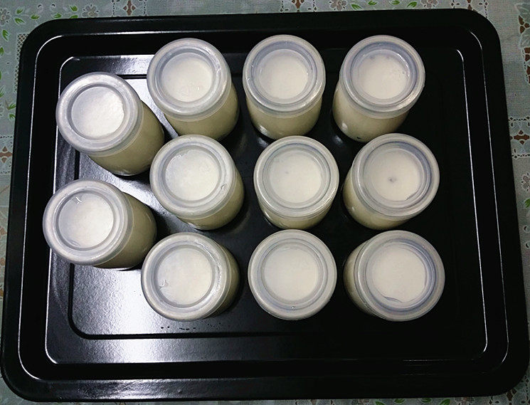 巧克力蔓越莓酸奶步骤7