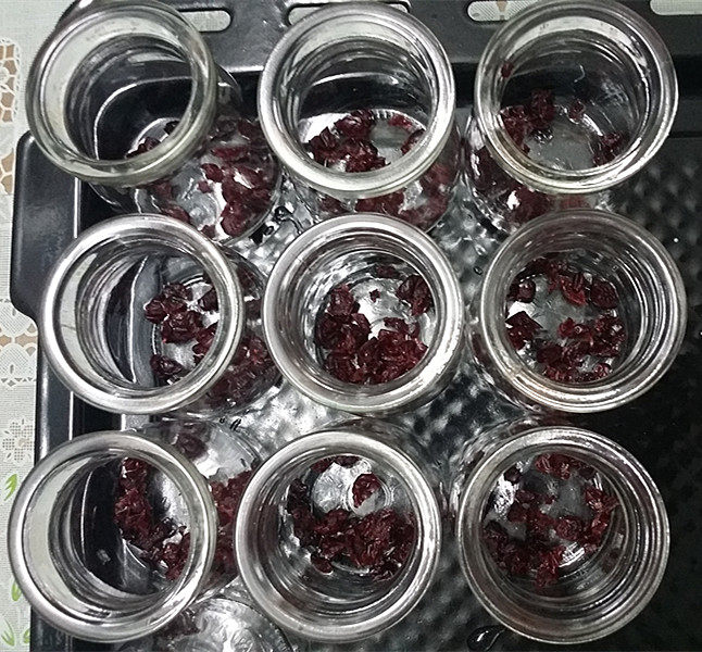 蔓越莓酸奶步骤4