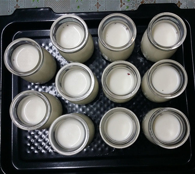 蔓越莓酸奶步骤7