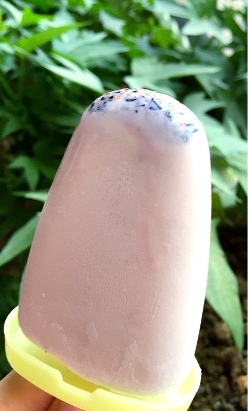 蓝莓冰棒步骤8