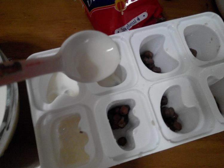 红豆酸奶冰棒步骤7