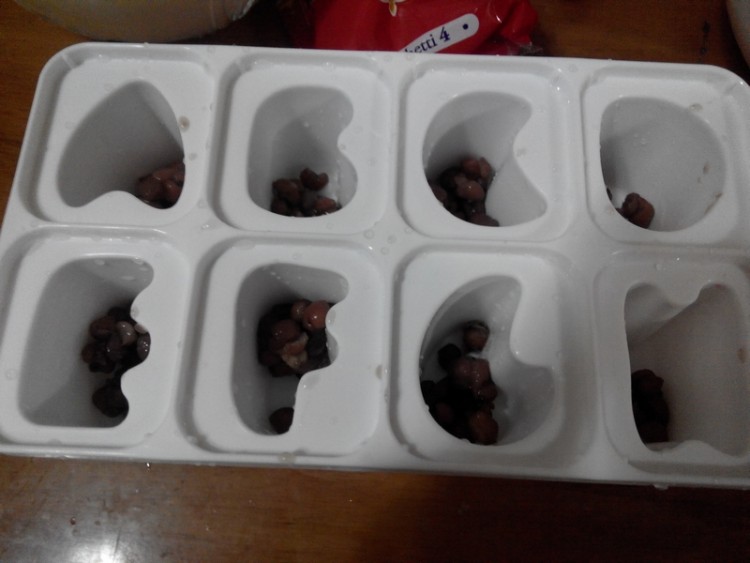 红豆酸奶冰棒步骤6