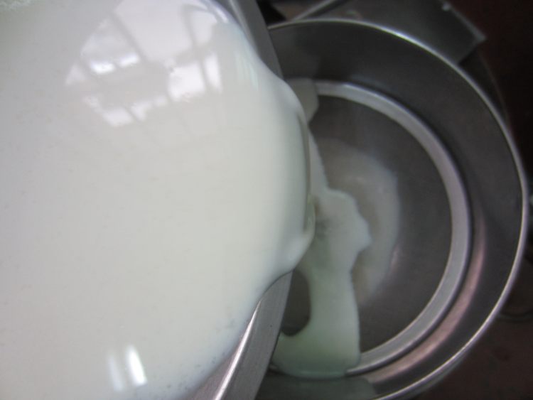 绿豆牛奶冰棍步骤6
